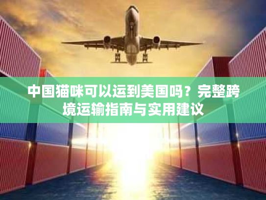 中国猫咪可以运到美国吗？完整跨境运输指南与实用建议