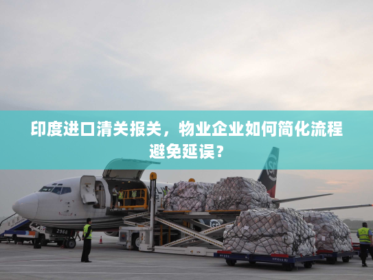 印度进口清关报关，物业企业如何简化流程避免延误？