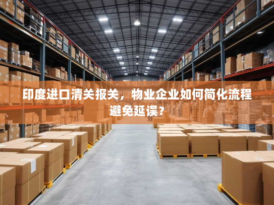 印度进口清关报关，物业企业如何简化流程避免延误？