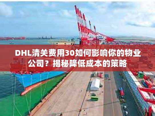 DHL清关费用30如何影响你的物业公司？揭秘降低成本的策略