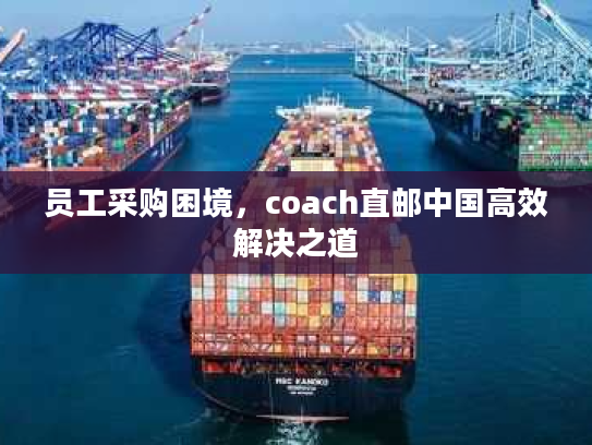 员工采购困境，coach直邮中国高效解决之道