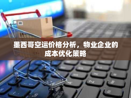墨西哥空运价格分析，物业企业的成本优化策略