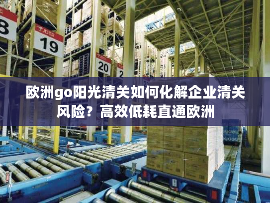 欧洲go阳光清关如何化解企业清关风险?高效低耗直通欧洲 欧洲go阳光清关如何化解企业清关风险?高效低耗直通欧洲