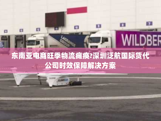 东南亚电商旺季物流瘫痪?深圳泛航国际货代公司时效保障解决方案 东南亚电商旺季物流瘫痪?深圳泛航国际货代公司时效保障解决方案