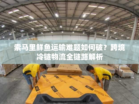 索马里鲜鱼运输难题如何破？跨境冷链物流全链路解析