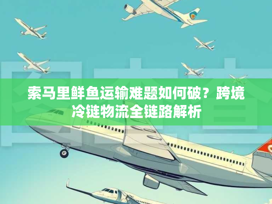 索马里鲜鱼运输难题如何破？跨境冷链物流全链路解析