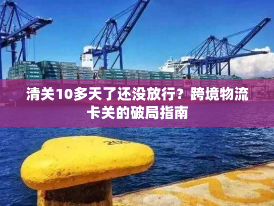 清关10多天了还没放行？跨境物流卡关的破局指南