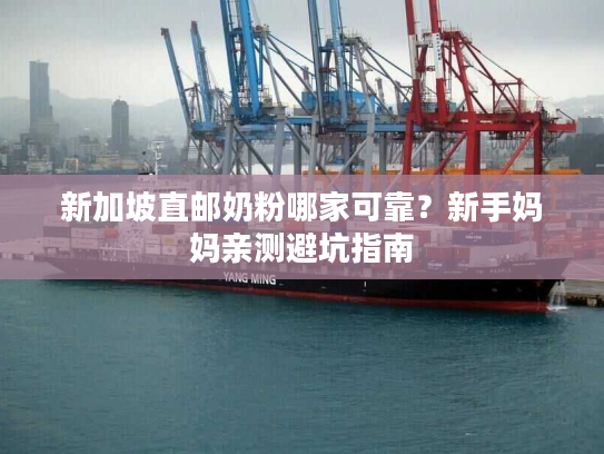 新加坡直邮奶粉哪家可靠？新手妈妈亲测避坑指南