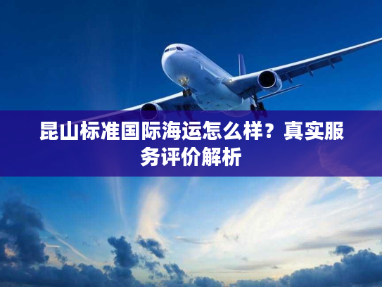 昆山标准国际海运怎么样？真实服务评价解析