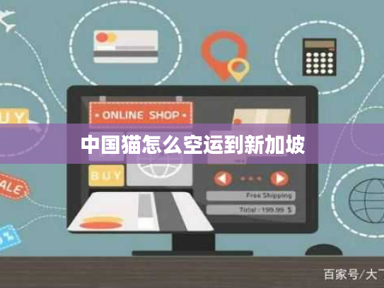 中国猫怎么空运到新加坡