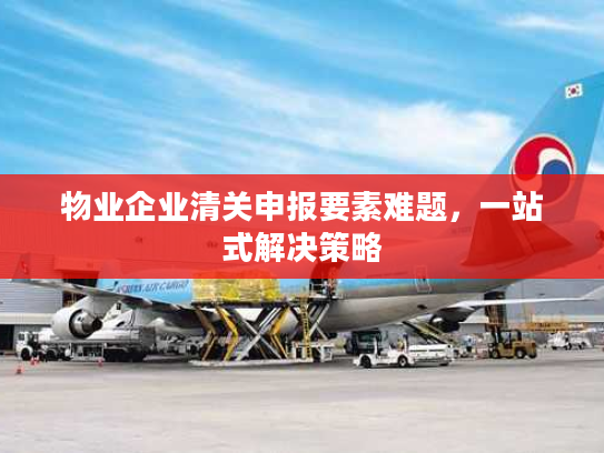物业企业清关申报要素难题，一站式解决策略