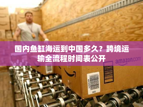 国内鱼缸海运到中国多久?跨境运输全流程时间表公开 国内鱼缸海运到中国多久?跨境运输全流程时间表公开
