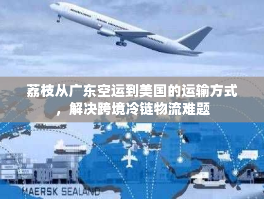 荔枝从广东空运到美国的运输方式，解决跨境冷链物流难题