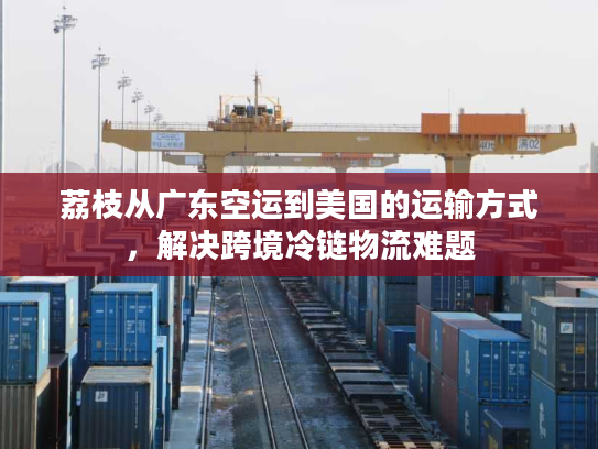 荔枝从广东空运到美国的运输方式，解决跨境冷链物流难题