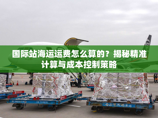 国际站海运运费怎么算的？揭秘精准计算与成本控制策略