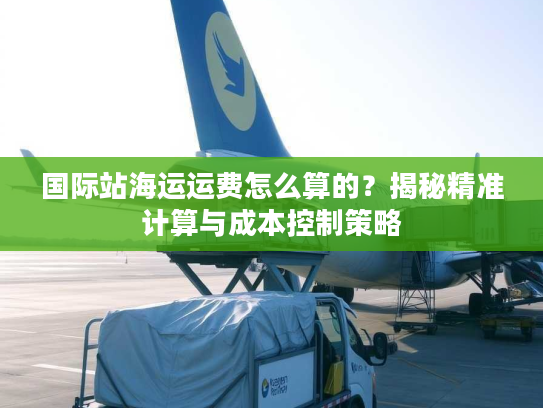 国际站海运运费怎么算的？揭秘精准计算与成本控制策略