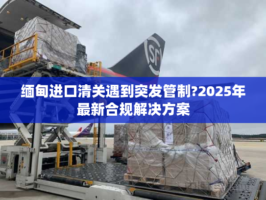 缅甸进口清关遇到突发管制?2025年最新合规解决方案