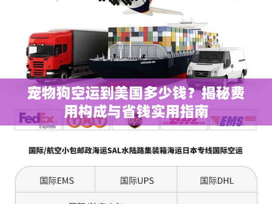宠物狗空运到美国多少钱？揭秘费用构成与省钱实用指南