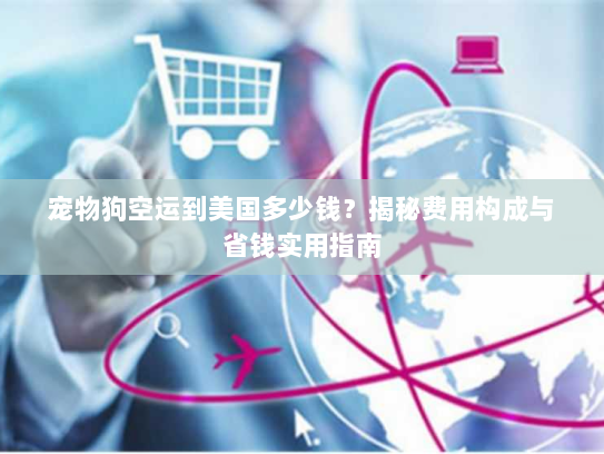 宠物狗空运到美国多少钱？揭秘费用构成与省钱实用指南