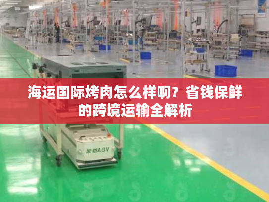 海运国际烤肉怎么样啊？省钱保鲜的跨境运输全解析