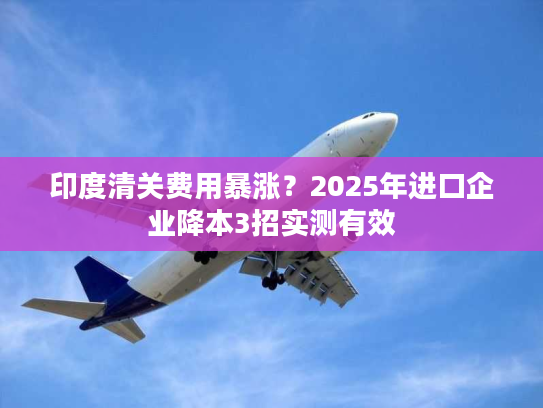印度清关费用暴涨？2025年进口企业降本3招实测有效