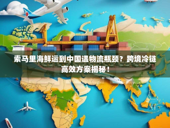 索马里海鲜运到中国遇物流瓶颈？跨境冷链高效方案揭秘！