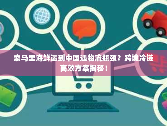 索马里海鲜运到中国遇物流瓶颈？跨境冷链高效方案揭秘！