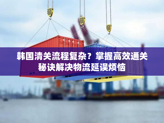 韩国清关流程复杂？掌握高效通关秘诀解决物流延误烦恼
