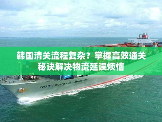 韩国清关流程复杂？掌握高效通关秘诀解决物流延误烦恼