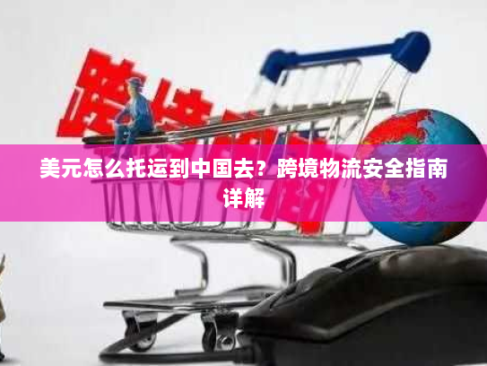 美元怎么托运到中国去？跨境物流安全指南详解