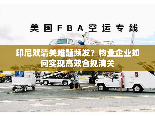 印尼双清关难题频发？物业企业如何实现高效合规清关