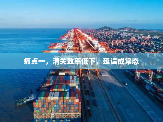 痛点一，清关效率低下，延误成常态