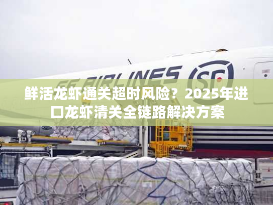 鲜活龙虾通关超时风险?2025年进口龙虾清关全链路解决方案 鲜活龙虾通关超时风险?2025年进口龙虾清关全链路解决方案