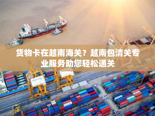 货物卡在越南海关？越南包清关专业服务助您轻松通关