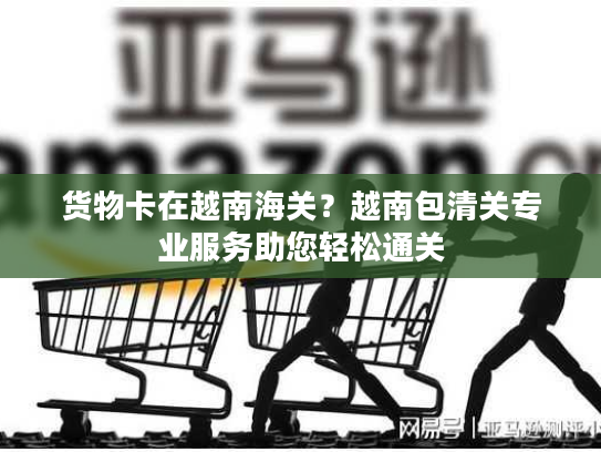 货物卡在越南海关？越南包清关专业服务助您轻松通关