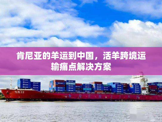 肯尼亚的羊运到中国，活羊跨境运输痛点解决方案