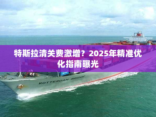 特斯拉清关费激增？2025年精准优化指南曝光