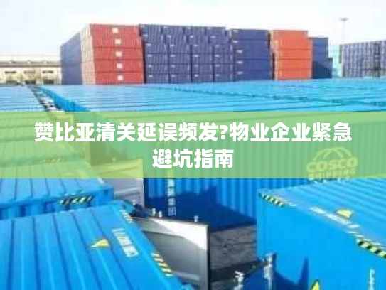 赞比亚清关延误频发?物业企业紧急避坑指南 赞比亚清关延误频发?物业企业紧急避坑指南