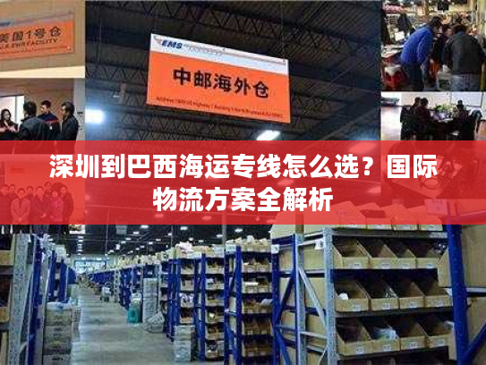 深圳到巴西海运专线怎么选？国际物流方案全解析