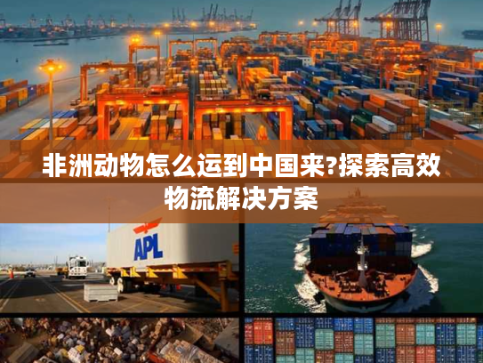 非洲动物怎么运到中国来?探索高效物流解决方案