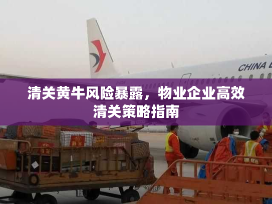 清关黄牛风险暴露，物业企业高效清关策略指南