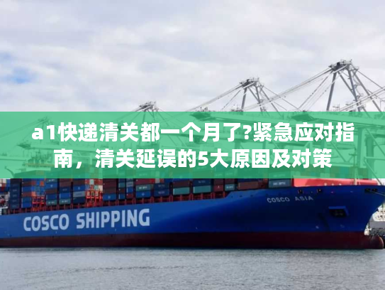 a1快递清关都一个月了?紧急应对指南，清关延误的5大原因及对策