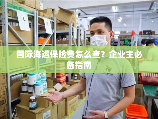 国际海运保险费怎么查？企业主必备指南