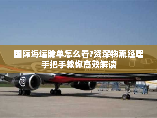 国际海运舱单怎么看?资深物流经理手把手教你高效解读
