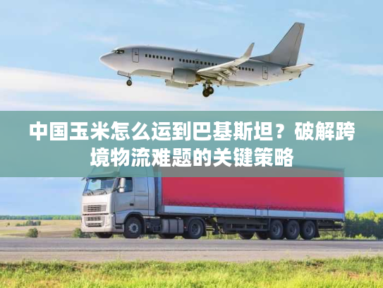 中国玉米怎么运到巴基斯坦？破解跨境物流难题的关键策略