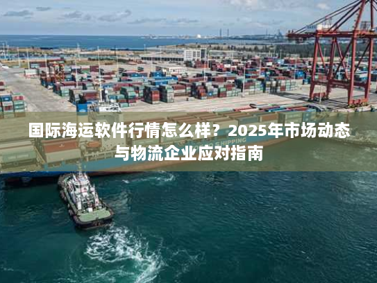 国际海运软件行情怎么样？2025年市场动态与物流企业应对指南