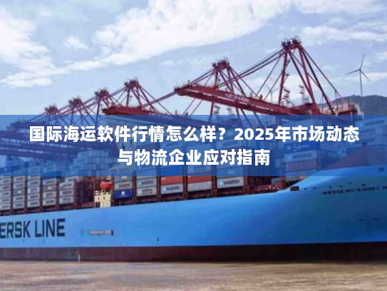 国际海运软件行情怎么样？2025年市场动态与物流企业应对指南