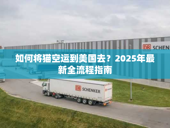 如何将猫空运到美国去？2025年最新全流程指南