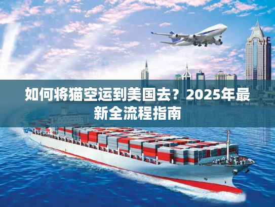 如何将猫空运到美国去？2025年最新全流程指南