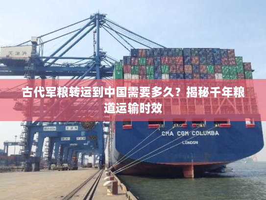 古代军粮转运到中国需要多久？揭秘千年粮道运输时效